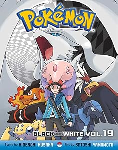Pok&eacute;mon Black and White, Vol. 19