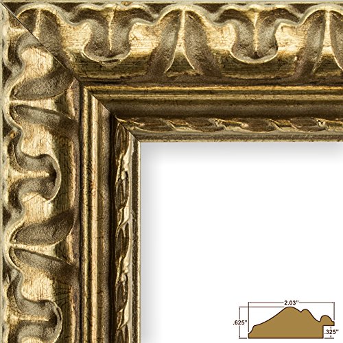 Craig Frames 21247906 24 by 36-Inch Picture Frame, Ornate Finish, 2.03-Inch Wide, Bronze and Gold