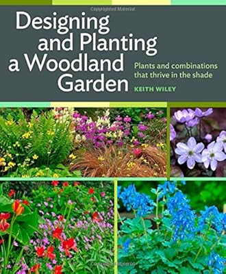 Designing and Planting a Woodland Garden: Plants and Combinations that Thrive in the Shade