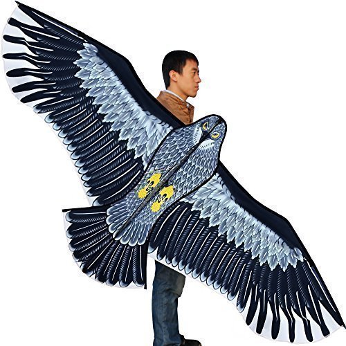 Hengda Kite-Strong Eagles!Huge beginner eagle kites for Kids and Adults.74-Inch by Hengda kite