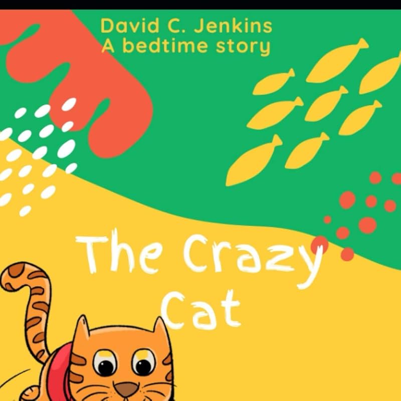 The Crazy Cat: story book & coloring book by David C Jenkins Jr