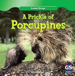 A Prickle of Porcupines