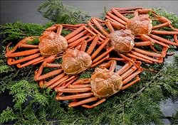 【新潟のカニ屋・リピータ続出！】 紅ずわい蟹(カニ)　姿 5ハイ [総量 ２ｋｇ] 日本海産茹でたてお試しセット