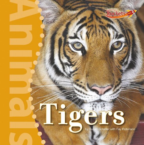 Tigers by Susan Schafer