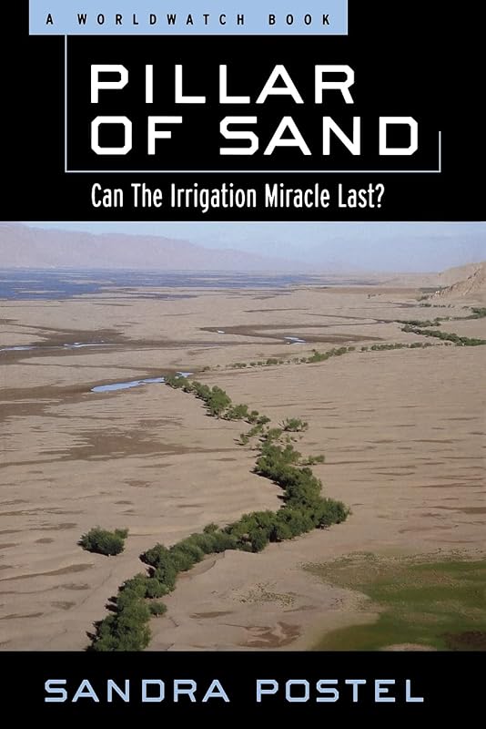 Pillar of Sand: Can the Irrigation Miracle Last? (Environmental Alert Series) by Sandra Postel