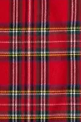 Red & Black Plaid Print Planner Organizer: 6"x9" 120 Pages Task Manager/ Scheduler