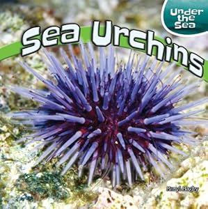 Sea Urchins