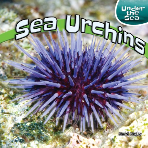 Sea Urchins by Meryl Magby