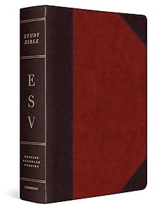 ESV Study Bible, Large Print (TruTone, Brown/Cordovan, Portfolio Design) by ESV Bibles