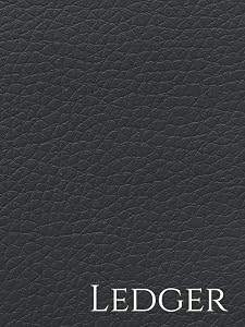 Ledger by Olena Rose