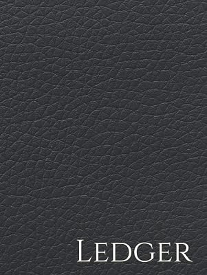 Ledger
