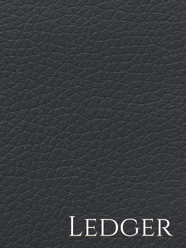 Ledger by Olena Rose