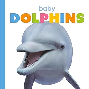 Baby Dolphins (Starting Out)