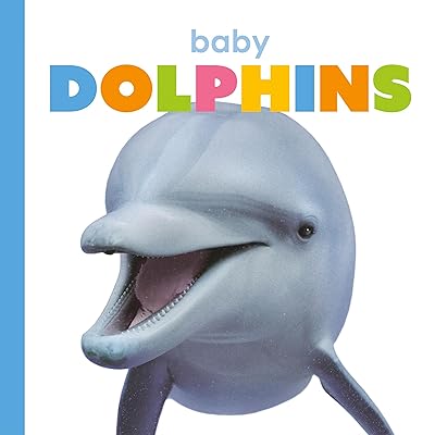 Baby Dolphins (Starting Out)