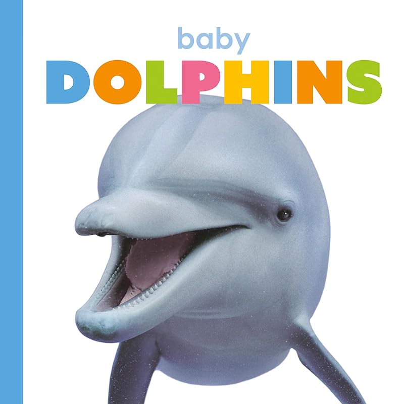 Baby Dolphins (Starting Out) by Kate Riggs