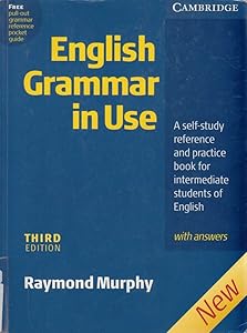English Grammar In Use Klett Edition: A Self-study Reference and Practice Book for Intermediate Students of English