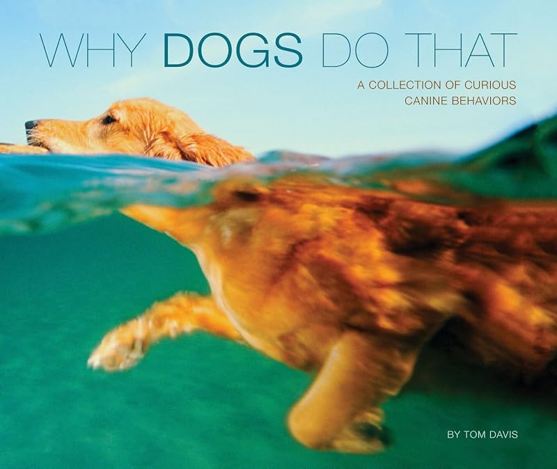 Why Dogs Do That (Deluxe Edition): A Collection of Curious Canine Behaviors by Willow Creek Press