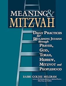 Meaning & Mitzvah: Daily Practices for Reclaiming Judaism through Prayer, God, Torah, Hebrew, Mitzvot and Peoplehood by Rabbi Goldie Milgram