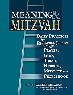 Meaning & Mitzvah: Daily Practices for Reclaiming Judaism through Prayer, God, Torah, Hebrew, Mitzvot and Peoplehood
