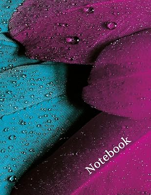 Math Notebook: 120 pages, math notebook, quad ruled workbook, 8.5 x 11 inch large soft cover journal, 4 squares per inch suited for kids and students