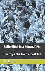 Butterflies in a snowstorm: Photographs from a past life by PH Davies
