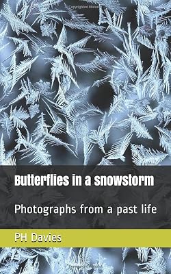 Butterflies in a snowstorm: Photographs from a past life