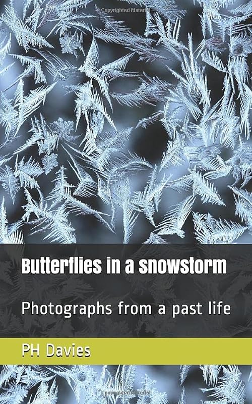 Butterflies in a snowstorm: Photographs from a past life by PH Davies