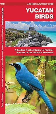 Yucatan Birds: A Folding Pocket Guide to Familiar Species of the Yucatan Peninsula (A Pocket Naturalist Guide)