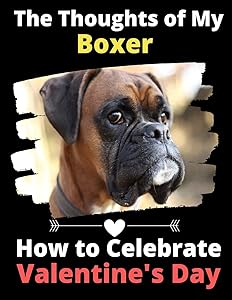 The Thoughts of My Boxer: How to Celebrate Valentine's Day