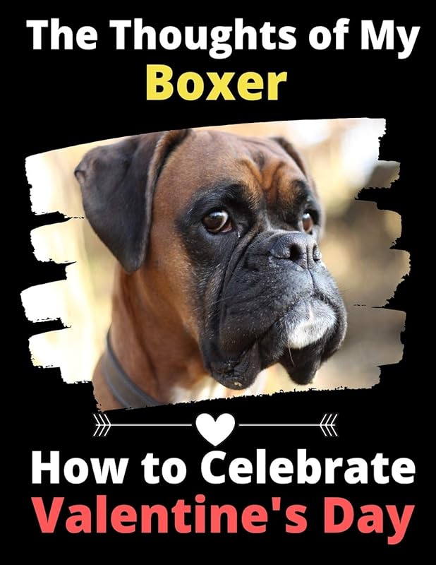 The Thoughts of My Boxer: How to Celebrate Valentine's Day by Brightview Activity Books