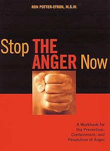 Stop the Anger Now: A Workbook for the Prevention, Containment, and Resolution of Anger by Ronald Potter-Efron MSW PhD