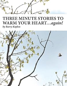 THREE MINUTE STORIES TO WARM YOUR HEART…again!: Volume 2 by Barry M Koplen