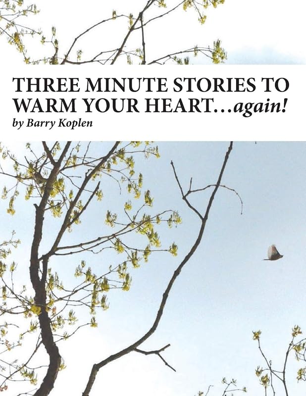 THREE MINUTE STORIES TO WARM YOUR HEART…again!: Volume 2 by Barry M Koplen