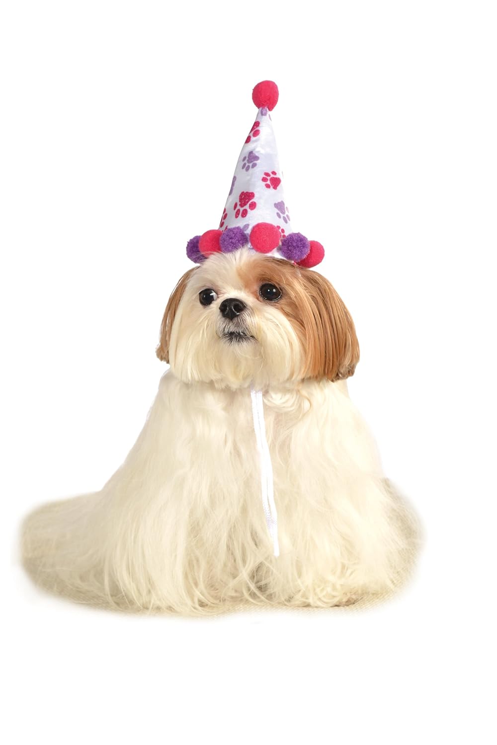 

Rubies Costume Halloween Classics Collection Pet Costume