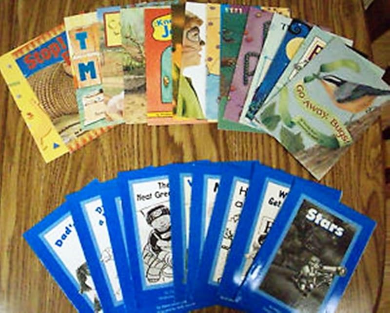 READING 2000 PHONICS READER 1.36 ROY GOES CAMPING by Scott Foresman