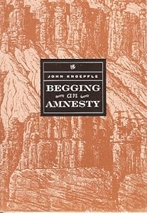 Begging an Amnesty