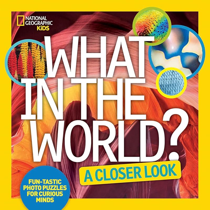 What in the World: A Closer Look: Fun-tastic Photo Puzzles for Curious Minds by National Geographic Kids