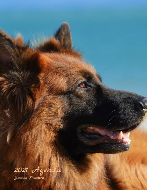 2021 AGENDA German Shepherd: Agenda Semainier 2021 Chien Berger Allemand Grand Format 21 ,59 x 27,94, 1 semaine sur 2 pages, aperçu du mois, notes, ... à offrir à quelqu'un de spécial pour vous by CV OnMyDigitalPath