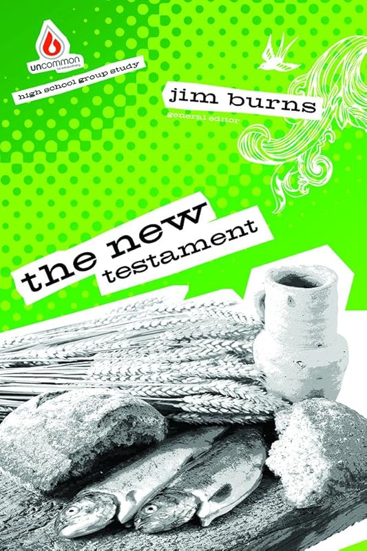 The New Testament (High School Group Study) by Burns