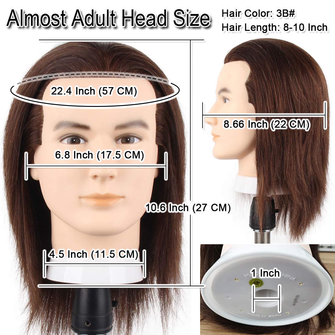 Testa di manichino maschile con capelli 100% umani, ideale per l'allenamento al taglio di capelli, con capelli folti. Testa di manichino da parrucchiere per acconciature (20-25 cm, 3B#)._voghion.com