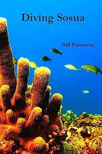 Diving Sosua by Bill Passmore