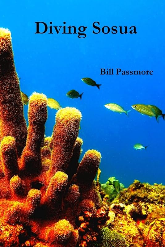 Diving Sosua by Bill Passmore