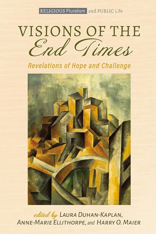 Visions of the End Times (Religious Pluralism and Public Life) by Laura Duhan-Kaplan