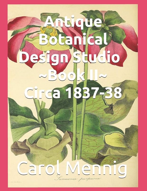 Antique Botanical Design Studio ~ Book II ~ Circa 1837-38 by Carol Mennig
