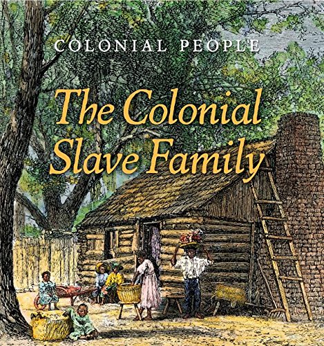 The Colonial Slave Family by Laura L Sullivan