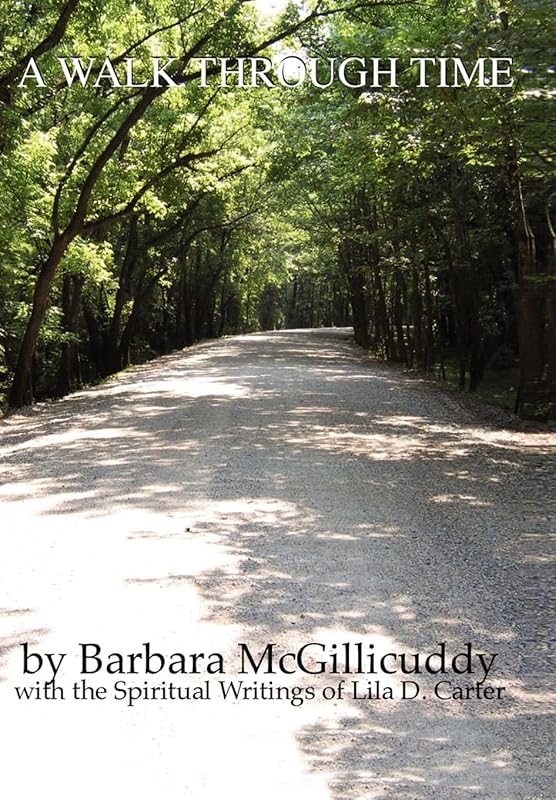 A Walk Through Time by Barbara McGillicuddy