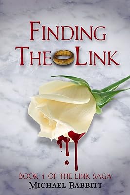 Finding the Link: Book 1 of the Link Saga