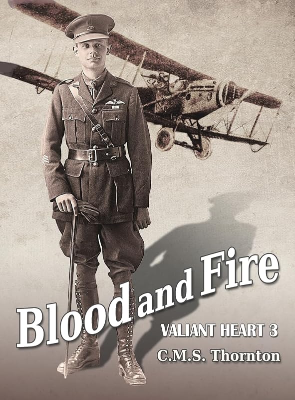 Blood and Fire: The Hero Who Conquered the Skies (Valiant Heart) by C M S Thornton