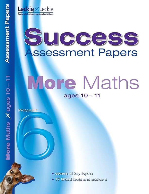 More Maths 10-11 Years (Success Assessment Papers) by Steve Hobbs