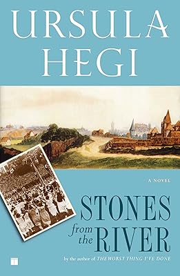 Stones from the River (Burgdorf Cycle Book 1)